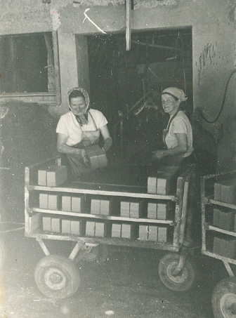 Rezultati VI. nagradnega natečaja Tole moram povedat' — čestitke učencu Maksu Novaku in učiteljici Petri Novak z OŠ Žiri