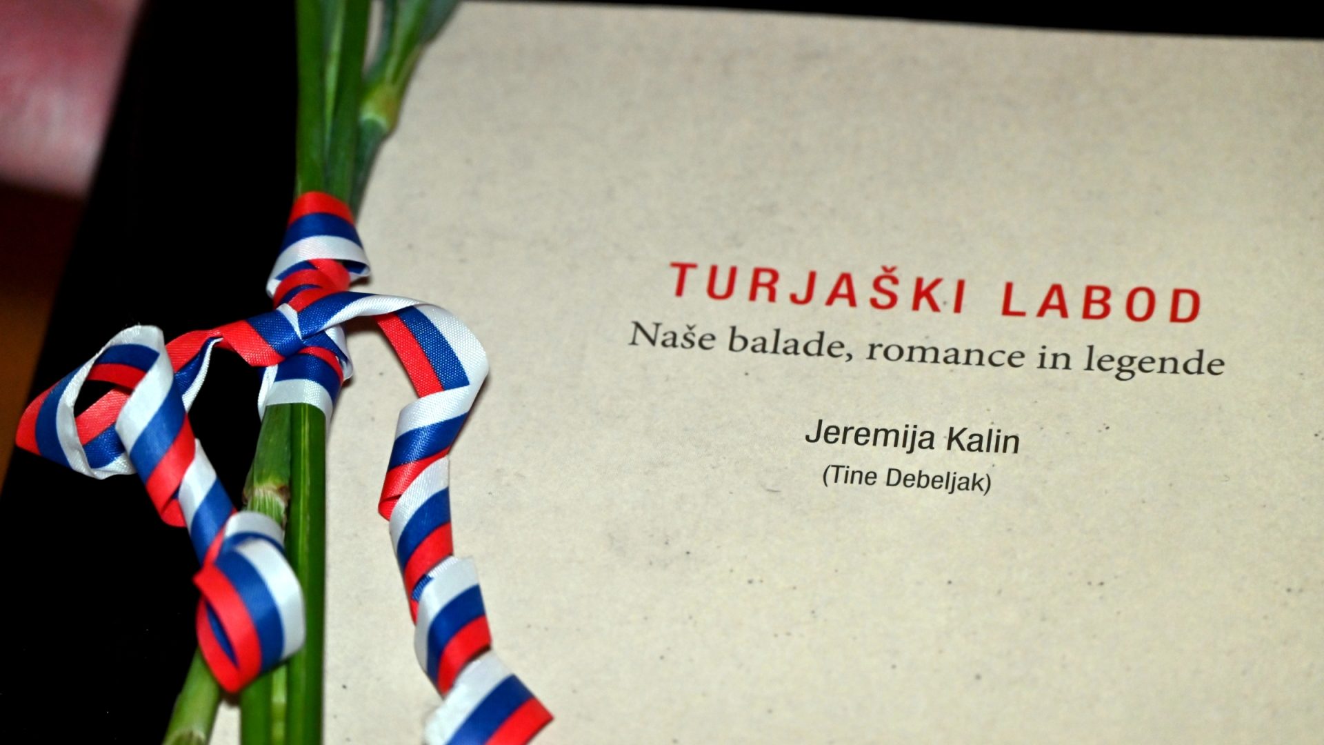 Vabilo na predstavitev pesniške zbirke Turjaški labod —  3. 12. 2025 ob 17.00 v Galeriji Družina v Ljubljani